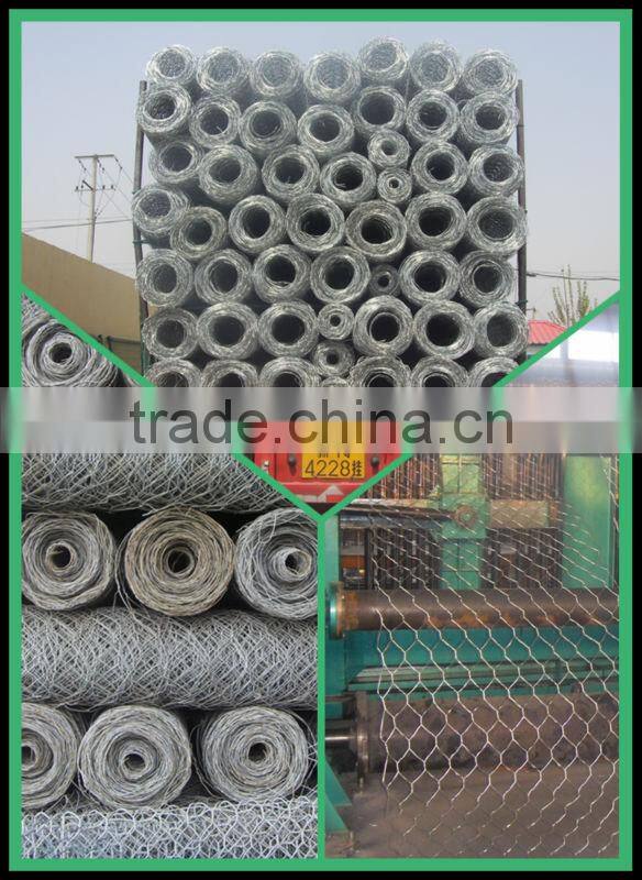 hexagonal wire mesh Manufacturer