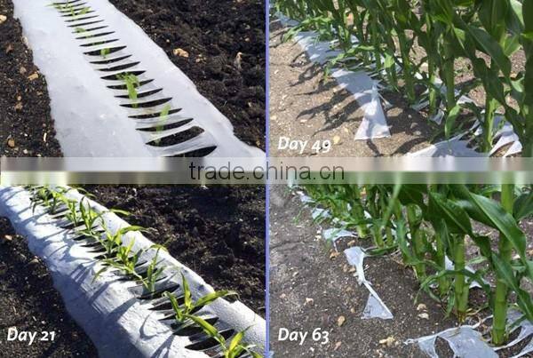 1-3 layer plastic biodegradable film blowing machine