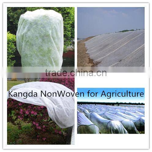 Hydrophilic medical nonwoven fabric