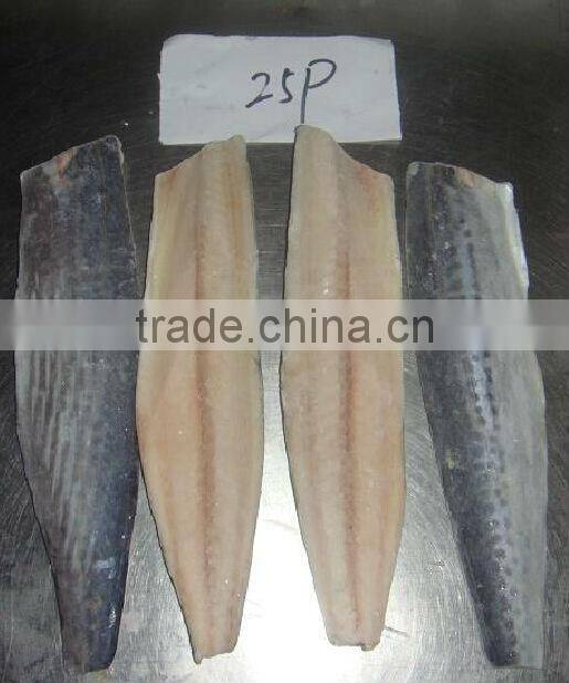 type of fish fillets spanish mackerel fillets