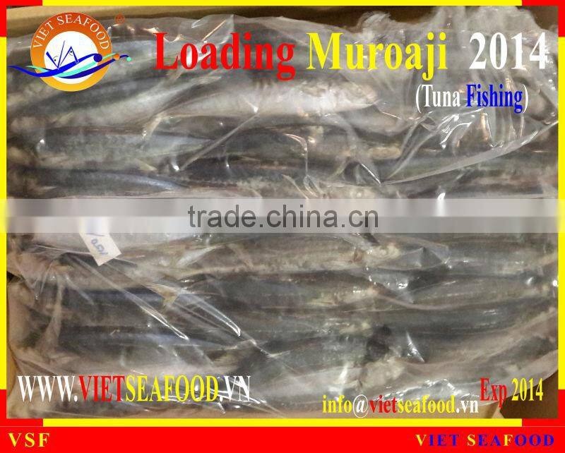 LOADING MUROAJI FOR TUNA BAIT