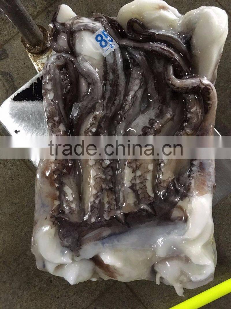 frozen giant squid tentacles/frozen giant squid soft tentacles
