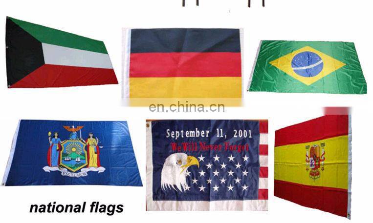 World Cup car hood flag in 2017