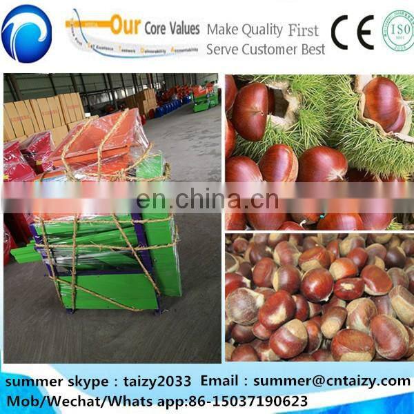 Thorn stab removal chestnut huller