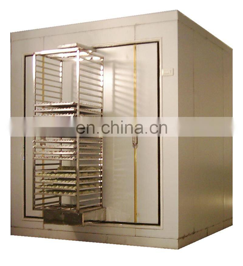 Commercial IQF automatic quick freezing machine industrial auto individually food quick frozen equipment cheap price for sale