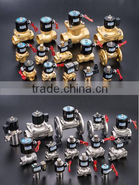 Manufacture sale 24v DC gas solenoid valve