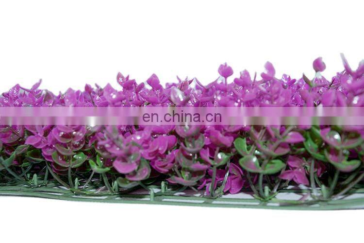 Vertical green wall flower