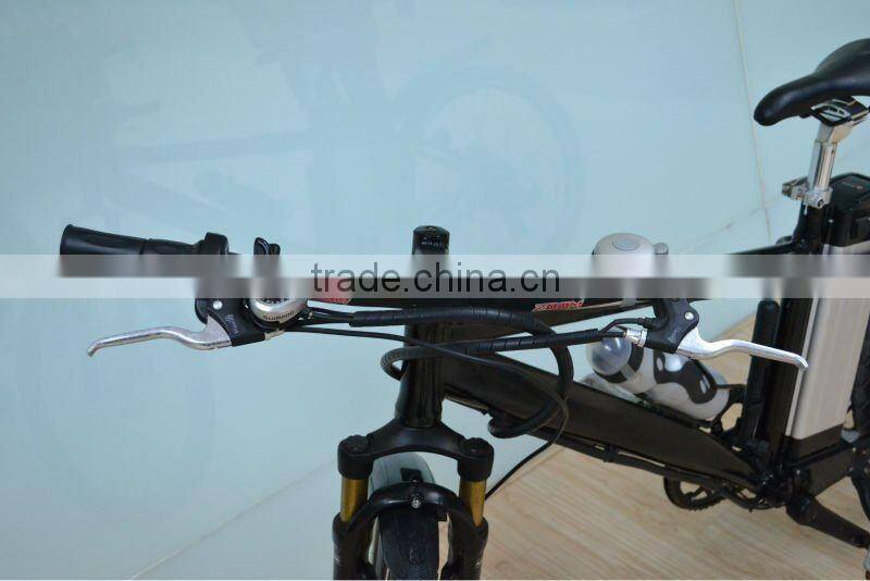 350W Mountain Electric Bike E-bicycle electrical bicycle ( LD-EB201)