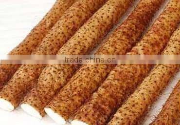 Naturally-grown Wild Yam Iron polyphenol content 20%