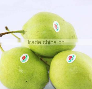 Top quality fresh pear for sale