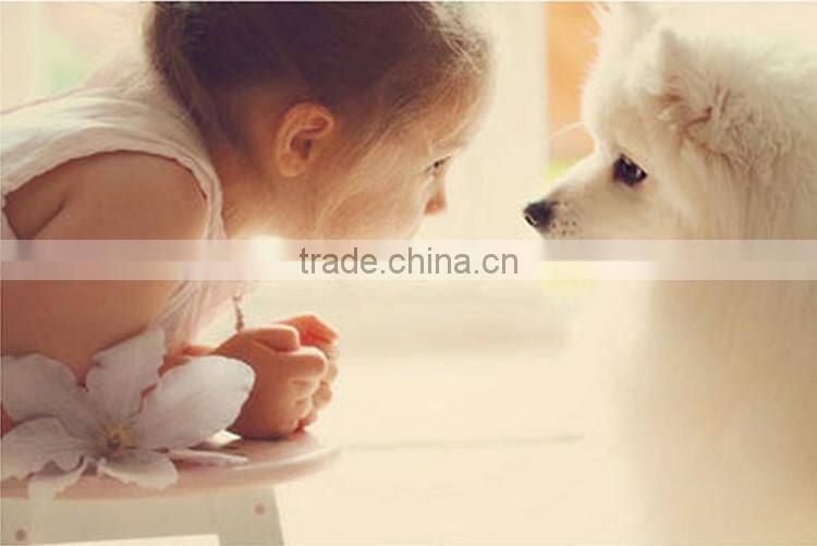 dog foot printed biodegradable pet poop bags