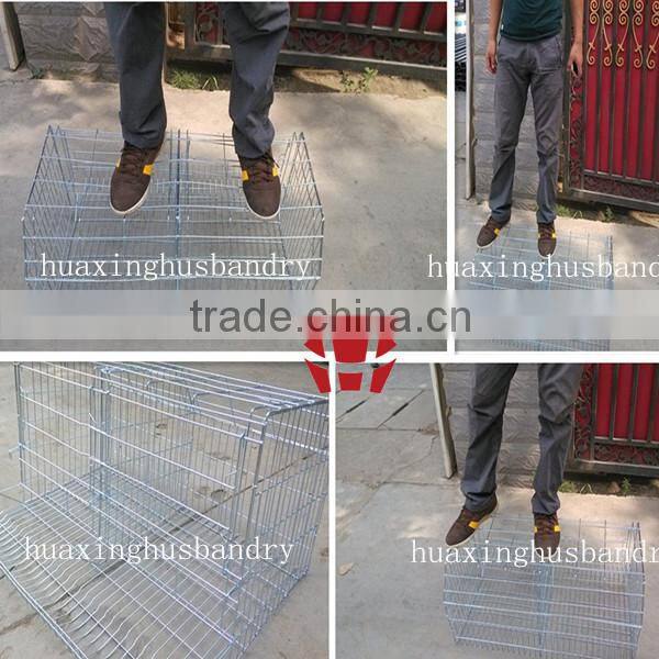 Q235 material hot galvanized H type full automatic feeding machine chicken cage for nigeria poultry farmchicken cage