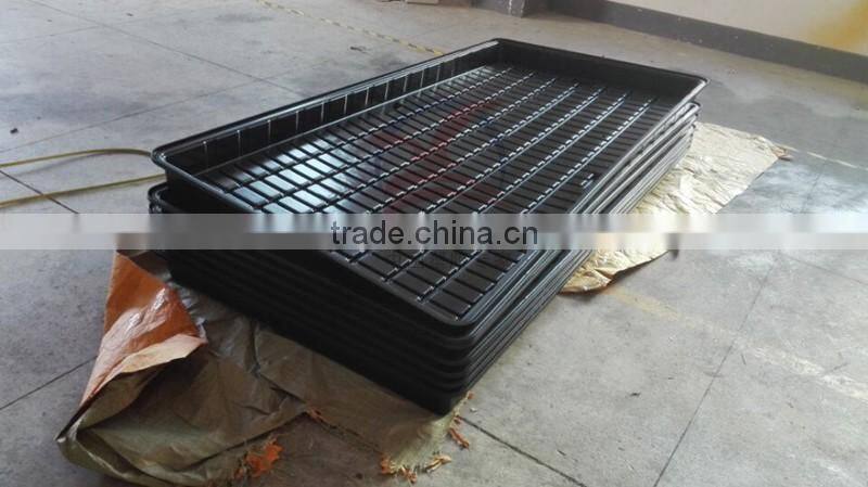 Thermoforming Plastic Trays