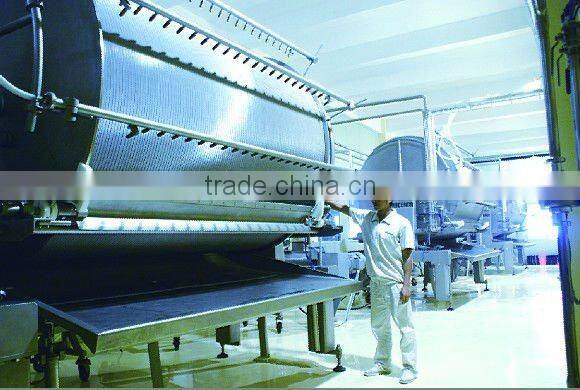 that dry yeast 500 gram instant dry Yeast