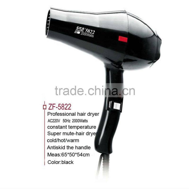 Professional AC Motor industrial hair dryer 2500w ZF-5822