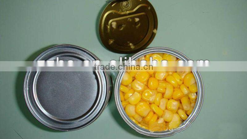 Fresh Corn for Sale Canned Sweet Corn Factory