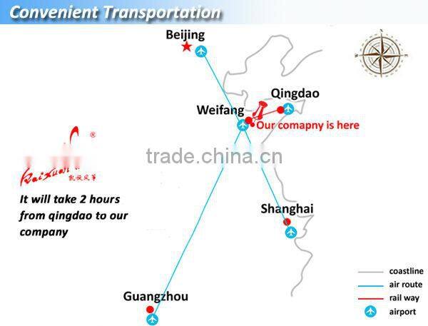 powered paraglider kite from Weifang kaixuan kite