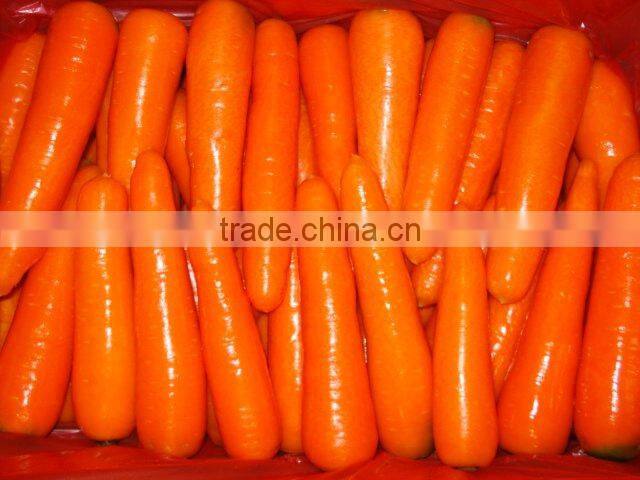 chinese fresh carrot
