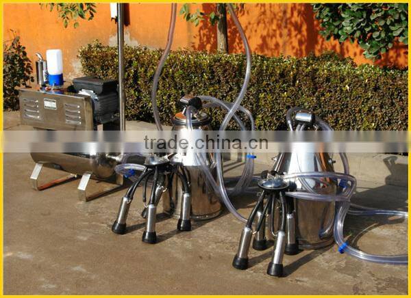 Dairy farm pipeline cow milking equipment price