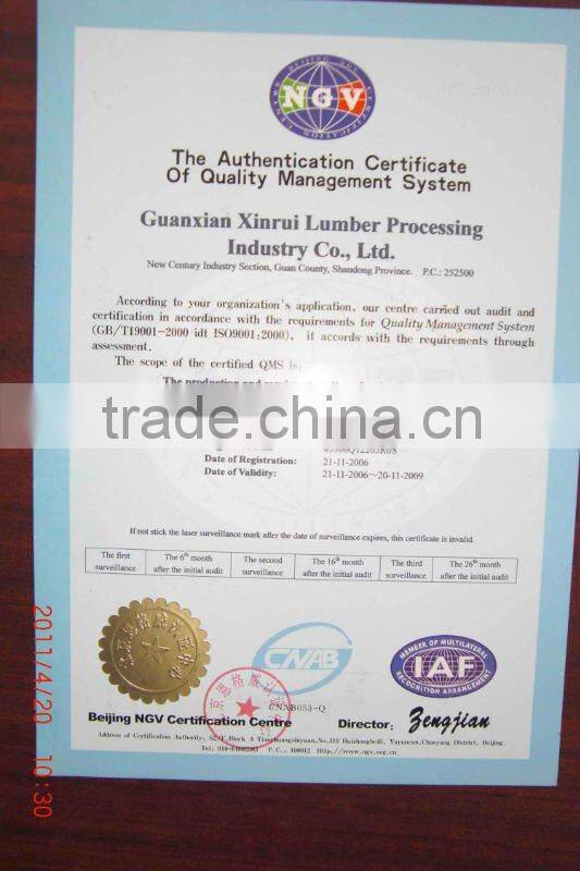 most popular organic vital wheat gluten