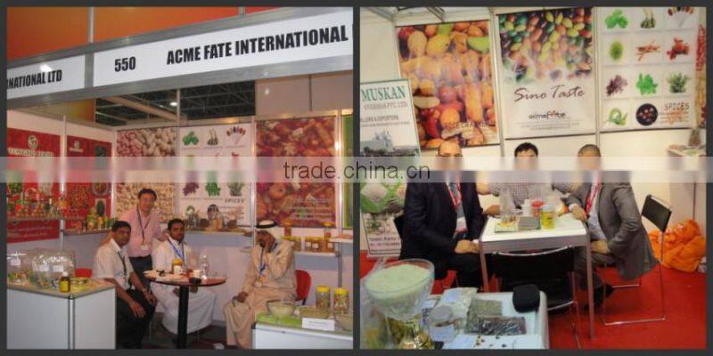 Bamboo Product Best Selling Grade A Ring Bamboo Sticks