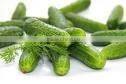 Best selling Vietnam canned pickled cucumbers 6-9 cm in brine in glass jar by HAGIMEX