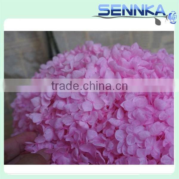Preserved hydrangea flower Kuming pink hydrangea preserved for wedding table centerpieces