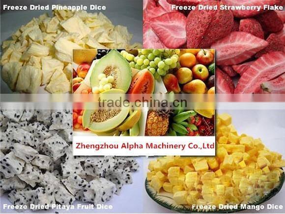 High Efficiency Freeze Dryer Price/Food Freeze Dryer Price/Fruit Drying Machine