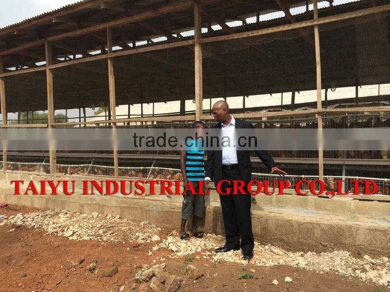 TAIYU chicken water feeding system