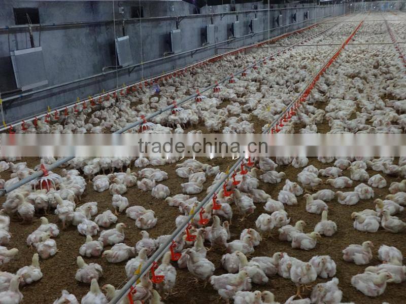 low price automatic chicken nipple drinking system for exporting