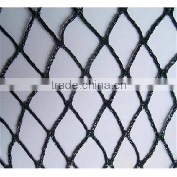 long life quality guarantee agricultural anti-bird mesh