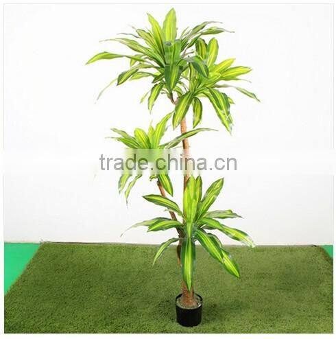 165cm Artificial Dracaena Fragrans Plants Wholesale