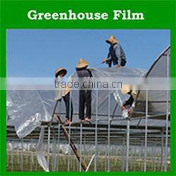 agricultural invisible plastic hdpe bird nett for tree