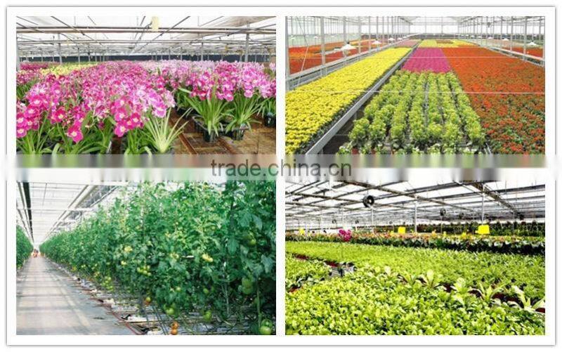 Auto control ventilation and irrigation system greenhouse