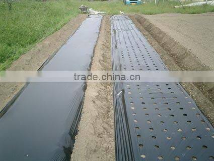 Agricultural Black Perforted Plastic Mulch Film