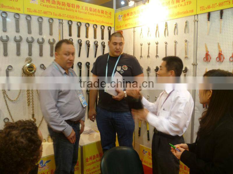 Manual Monorall Hoist no sparking safety tools