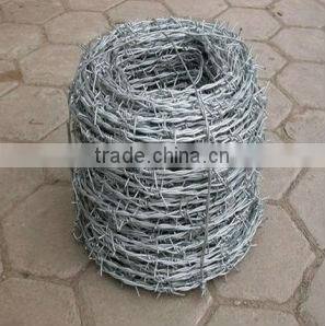 Factory price hot dipped Galvanzied barbed wire