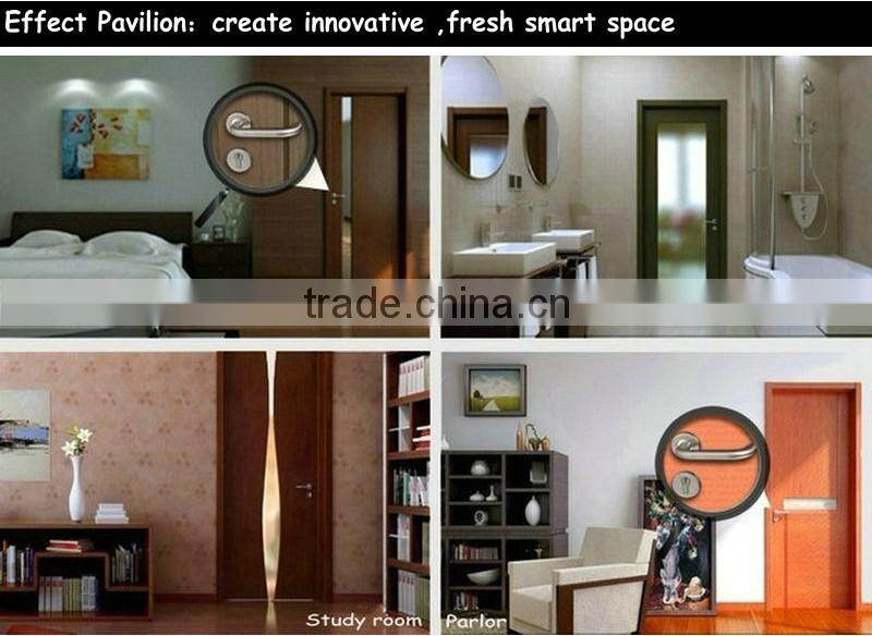 TH037:Stainless Steel Lever Handle with Escutcheon