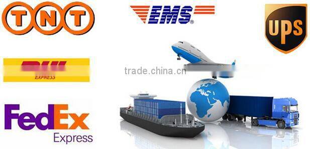 High quality inflatable igloo event tent, geodesic dome tent for event