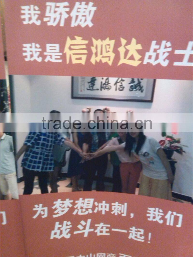 Modern ceiling light with CE certificate in zhongshan factory