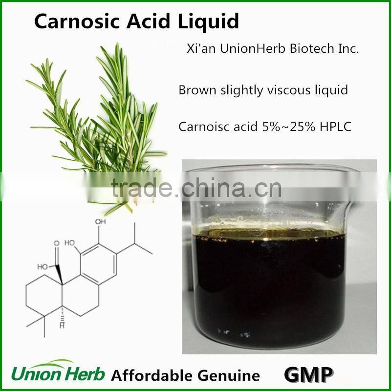 Oil Soluble Antioxidant Carnosic Acid Powder from Rosemary Extract