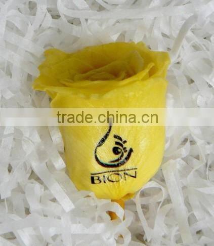 Electric Power Supply and Digital Flower printer