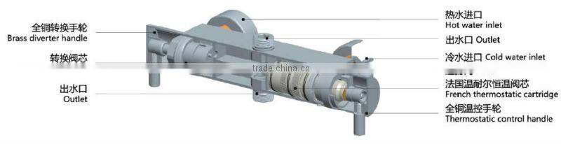 Thermostatic Shower Faucet