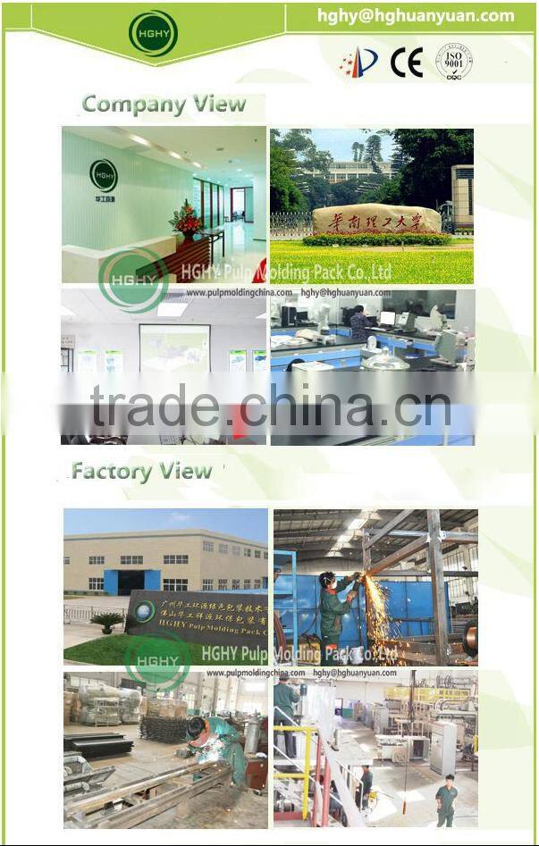 disposable baggase paper plate pulp molding machine by HGHY