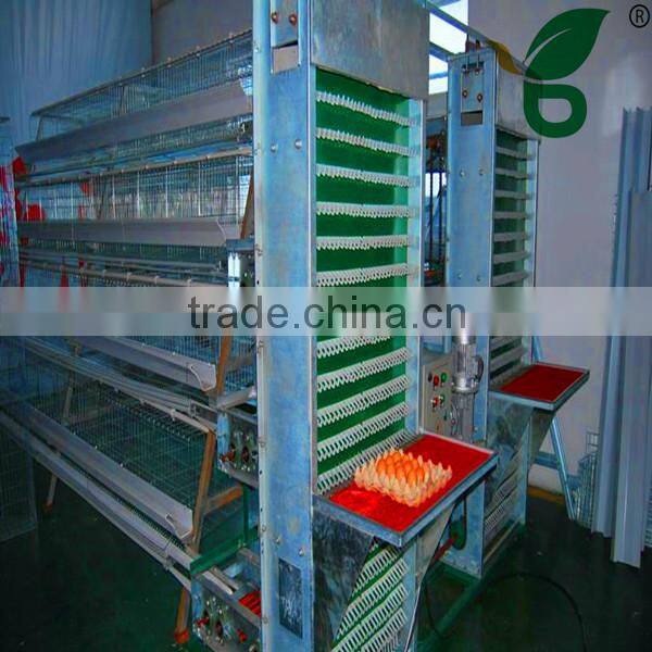 Automatic egg collecting machine