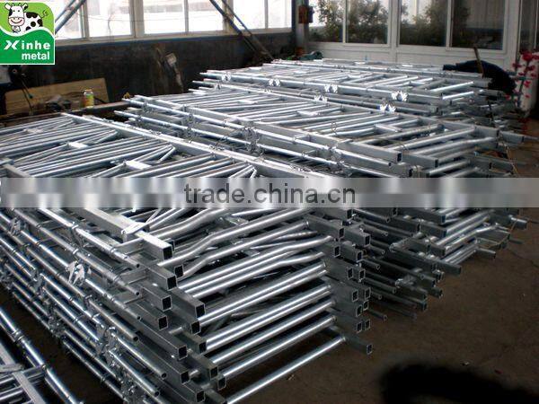 Factory Price of best quality Cattle headlock for dairy farms,livestock farm