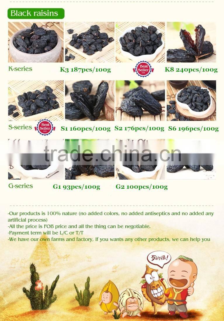 wholesale black raisins seedless raisin xinjiang raisin