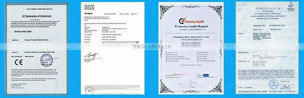 newest giant ball inflatable water for fun