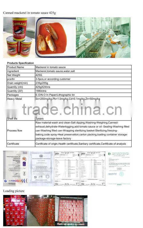 canned mackerel fish in tomato sauce