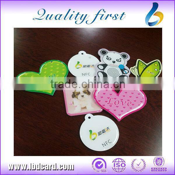 Rewritable Ntag216 Epoxy Key Cards With Bungee Cord